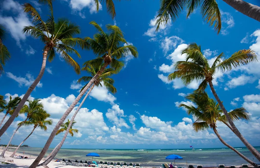 Tranquility By The Beach-1