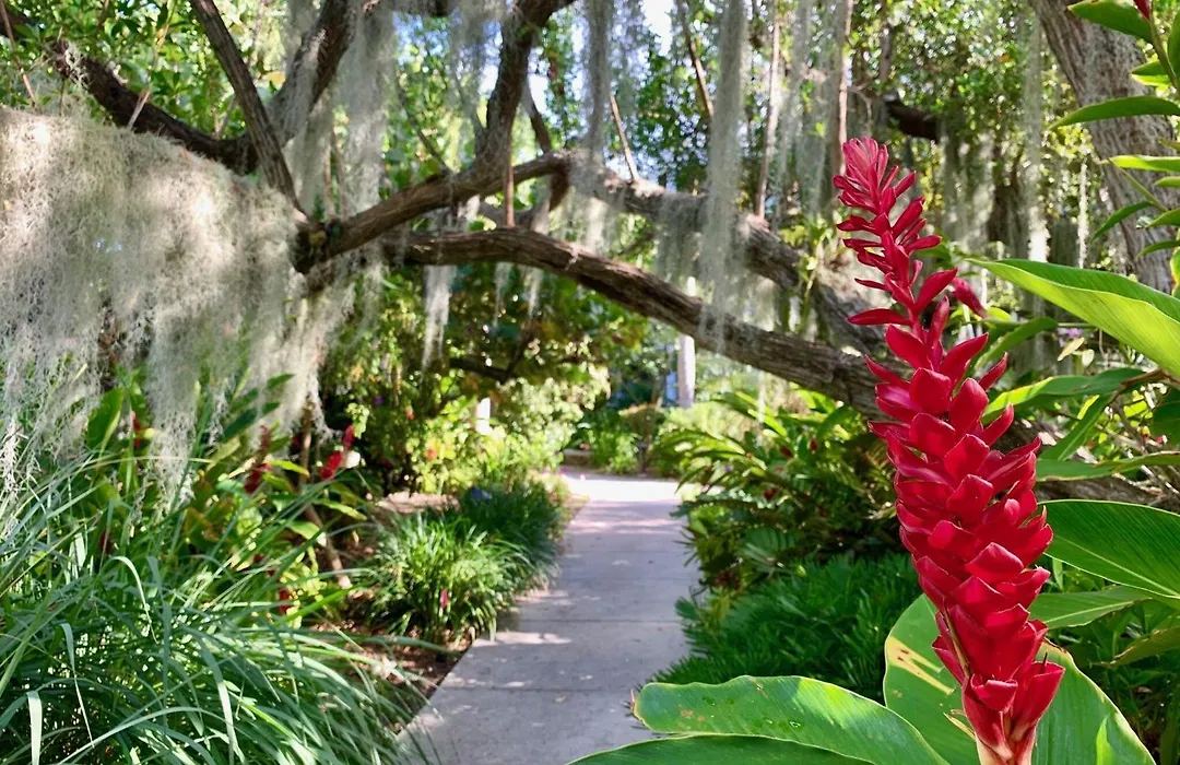 Key West'S Best-1