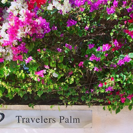 Travelers Palm Inn-3