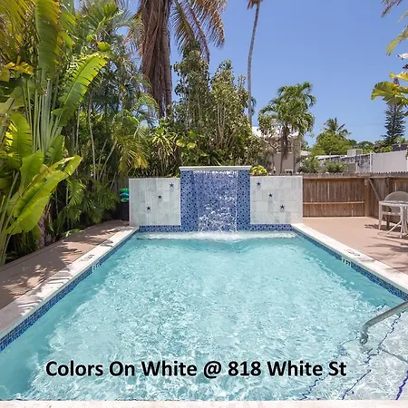 Colors On White-2