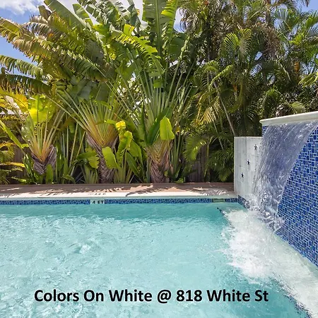 Colors On White-3